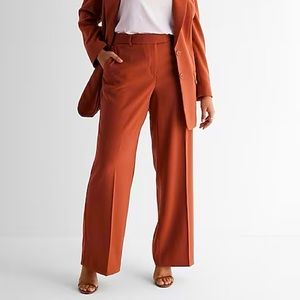 Express Stylist Super High Waisted Pleated Ankle Pant- Buillion